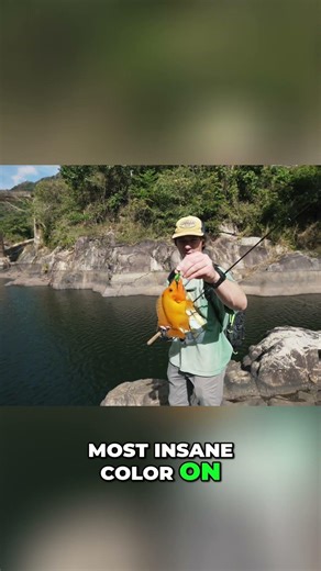 Catching RED DEVIL Fish In PUERTO RICO Waters!