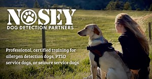 Our Services - Nosey Dog Detection Partners