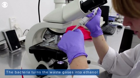 How bacteria poop can save the world