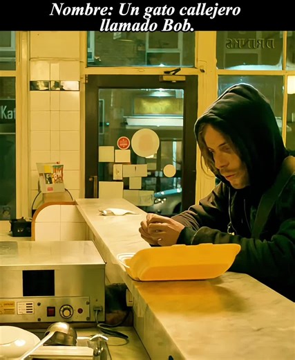 #moviecilps #sharemovies #moviescene | movie clips