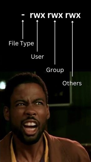 CHMOD: MASTER YOUR FILE PERMISSIONS
