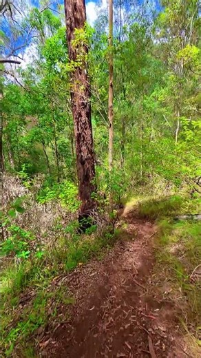 Northbrook Gorge #hiking #adventure #explore #getoutside #outofcomfortzone #exploremore #hikinglife