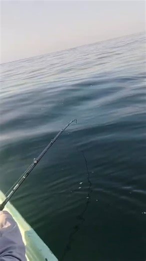 John Lorenz on Instagram: "Jim fighting Roosters in Mexico"