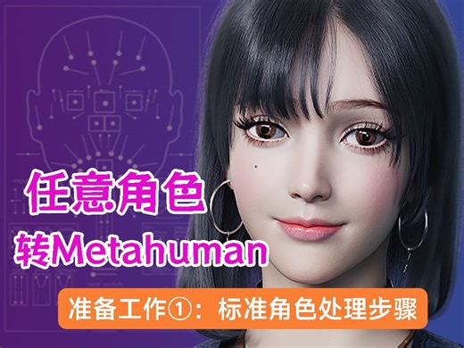 Ue5 Metahuman标准角色处理步骤 D-Rig for Metahuman超写实数字人快速制作方法DNA编辑