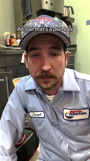 Impression of an Owl as a Plumber