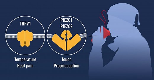 Nobel Prize in Physiology or Medicine 2021