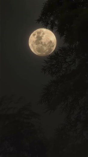 Moonlight by Harnoor❤️🥀 #music