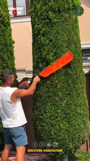 Amazing Garden Hedge Trimmer Machine