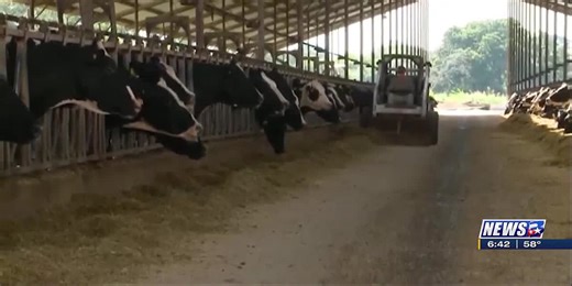 From the Ground Up: The changing dairy industry