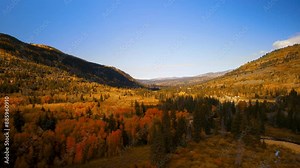 Colorful fall foliage on mountain slopes in Uinta Wasatch Cache National Forest, Utah