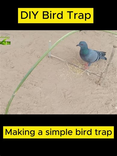 trapmakergenius on TikTok