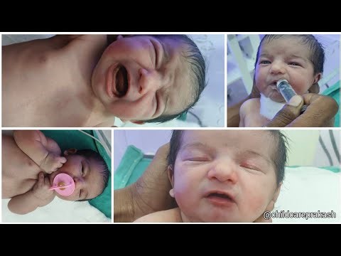 Hungry Baby in the NICU: Feeding Routine Explained #fed #baby #nicu warrior 