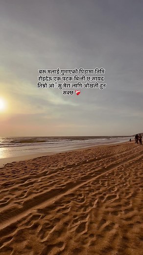 Serene Sunset Beach Scene Capturing Nature's Beauty