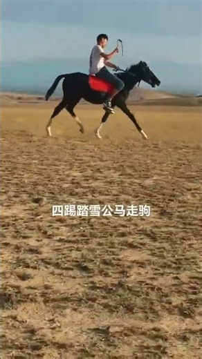 How horse breeding and training work Daily Work