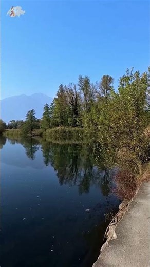 Silent Walk in Swiss Nature 🌿| Natural ASMR | No Talking