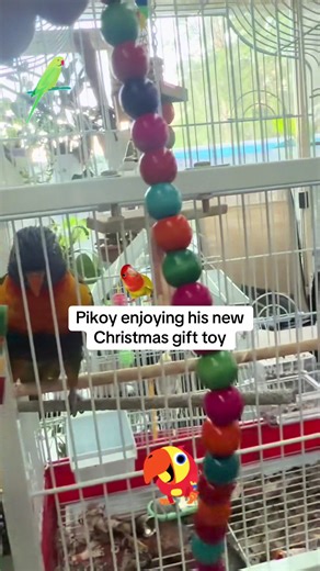 Pikoy's Delightful Christmas Gift Toy