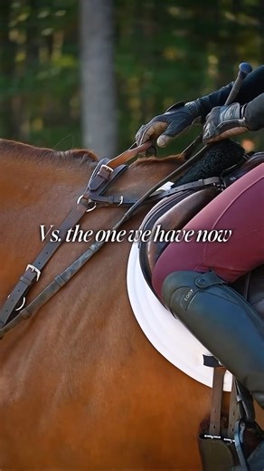 Correct Connect on Instagram: "Not only is our double neck strap exceptionally functional, but it comes in many different styles! Ride in a breastplate? We’ve got one with a handle! Need a martingale? We’ve got that attachment too. Now you’re covered with an extra piece of support no matter your discipline. When in doubt, grab your ‘oh sh!t’ strap! 😆 Shop all breastplates and neck straps at ridecorrectconnect.com #correctconnect #horseriding #breastplates #neckstraps #horsetraining"