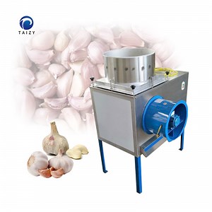 [Hot Item] Garlic Clove Separator Separating Machine Garlic Separating and Peeling Machine