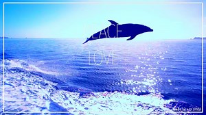 311 reactions · 4.8K shares | “Peace, Love, Healing! The most essential element for healing is “Love“! I hope you are enjoying “Blue“!… I Love you All!…Yanni ” New Music by Yanni - “Blue“ Available now wherever you listen to music https://smarturl.it/Yanni_Blue | Yanni | Facebook