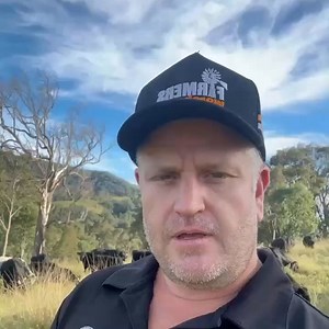 196 reactions · 251 shares | Say goodbye to big supermarkets! Ditch the middlemen and choose clean, honest beef—direct from our farm. Our grass-fed beef is hormone-free, antibiotic-free & nasty-free. • Support a local family • Sustainable food movement Join us for better quality and nutrition  | Springhill Beef Co | Facebook