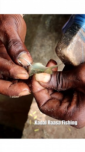 288K views · 4.1K reactions | Black Bream fish fishing | Kadal Raasa Fishing | Facebook