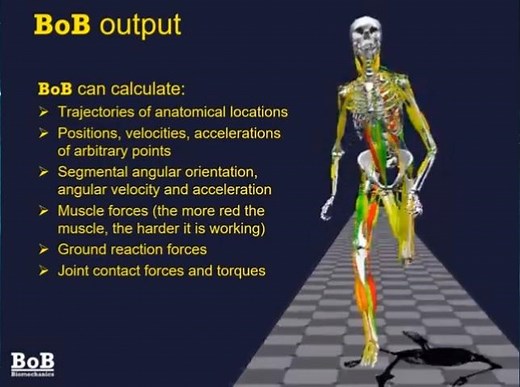 想知道BOB人体生物力学分析软件能帮助您做哪些事？它是如何办到的呢？