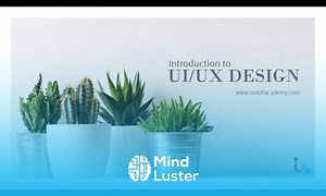 Mind Luster - Learn Introduction to UI UX Series