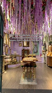 177K views · 5.1K reactions | Seventeen years ago, I began this...