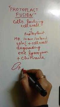 Protoplast Fusion:genetic manipulation #microbiology #mysteryofmicrobes
