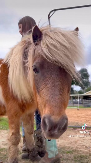 243 reactions · 63 shares | Almosta Ranch is a 39-acre farm featuring...
