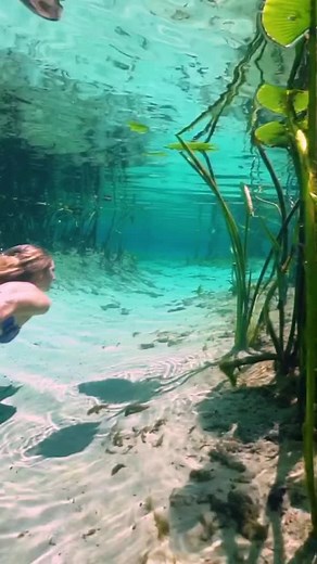 Fascinating Underwater World: Real Jal Pari and the Titanic Wonders