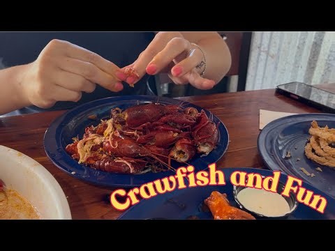 Come With Us to Galveston Texas 🌴 Hidden Bookstore + Lunch Stop