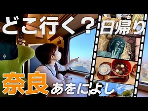 [Half day in Nara 🦌] All the things you want to do! Deer, Great Buddha, Sweets | Japan Travel vlog