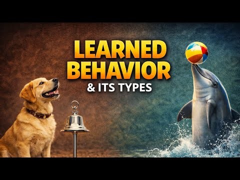Learned Behaviour | Animal Behaviour | BSc MSc Zoology | CSIR NET | Easynotesofbio