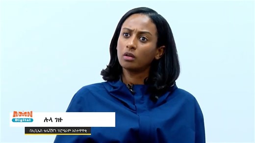 81K views · 899 reactions | ኢቢኤስ ላይ የቴሌቪዥን ፕሮግራም አስተዋዋቂዎች ሉላ ገዙ እና ዘወትር ደሳለኝ ስለ ብርቱካን ሀሰተኛ ፊልም የተናገሩት | AMN-Addis Media Network | Facebook