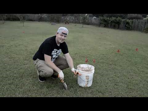 Removing Sand Spurs from Your Lawn