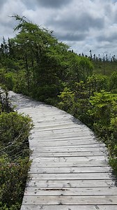 Counting down the days until spring finally takes over 🌱 There’s nothing like watching Salmonier Nature Park walking path come back to life lush greens, quiet steps and that fresh air that reminds you why we love NL. Who else is dreaming of spring walks right now? 👣💚 📍Salmonier Nature Park Walking Path | Visit Newfoundland and Labrador