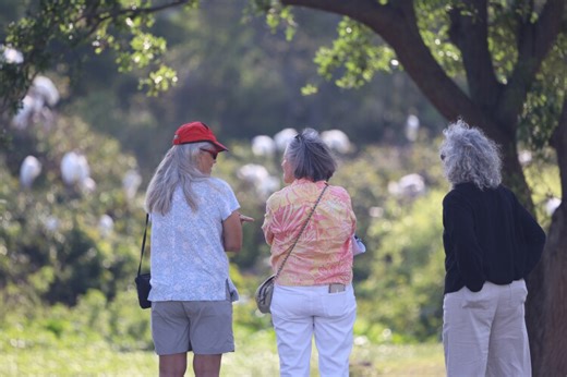 Bird brain: New study finds birdwatching may boost brain health and slow cognitive aging