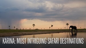 Karina: Most Intriguing Safari Destinations