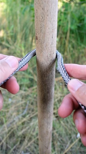 #knots #knotless #knottying #knowledge #usa #USAToday #diy #mexico | RS KNOT