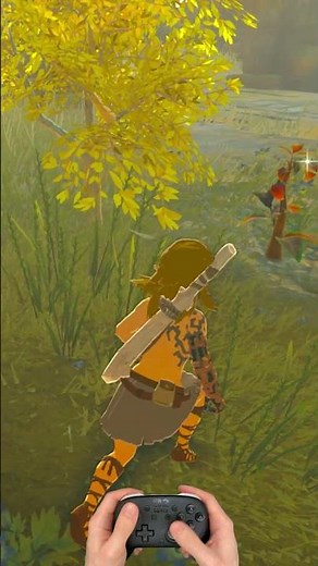 Zelda TOTK Walkthrough Part 85 (Switch 2) #zelda #totk #zeldatotk #rauru #link