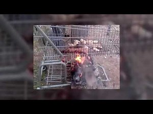 Ghetto Grill! Using Shopping Cart for BBQ - Must See!