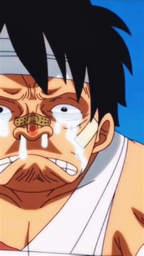 Luffy's Understated Bounty in One Piece Explained