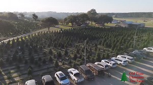 16 reactions · 15 shares | Christmas season is officially here and we...