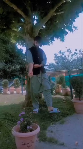 Saju Saju Saju on Reels