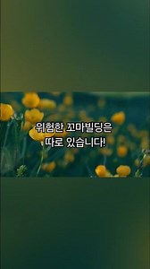 꼬마빌딩 지금 들어가면 늦었을까? 진짜 위험한 포인트는 따로 있습니다#꼬마빌딩 #부동산투자 #상가투자 #건물주 #재테크