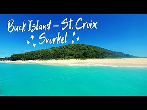 Snorkeling | Buck Island, St. Croix | US Virgin Islands