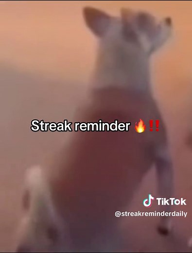 Understanding TikTok Streaks: Insights and Tips