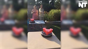 Roomba Pong’ might be the best drinking game ever | NowThis Earth