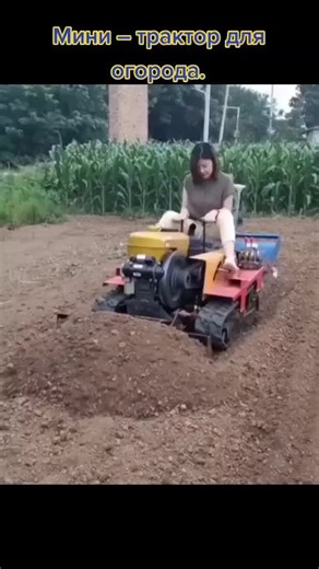 Типичный Строитель on TikTok